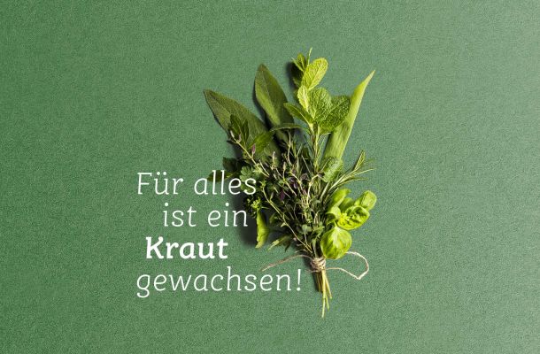 Kräuterwochen