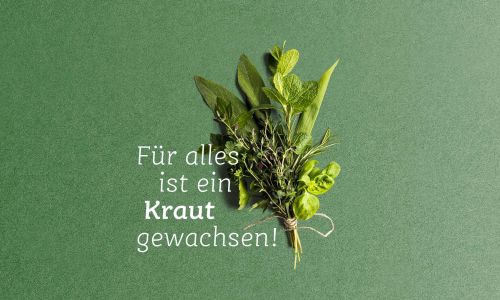 Kräuterwochen